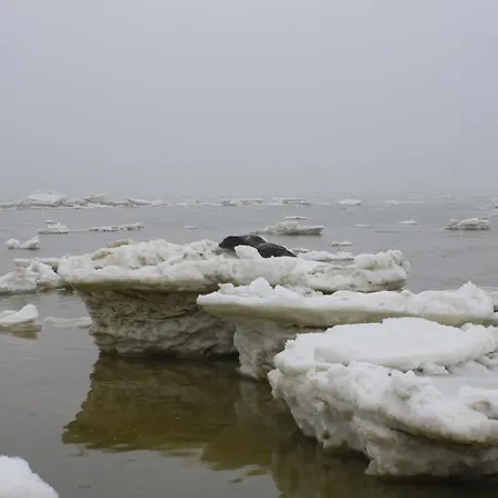 Kiekin Lägenhet Wenningstedt-Braderup